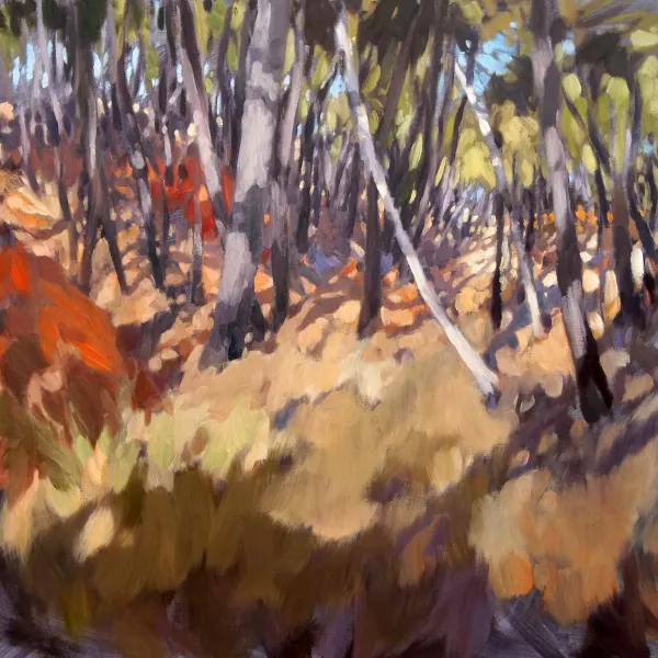 <b>
                #165</b>, 2012, oil on canvas, 100&nbsp;×&nbsp;100 cm -&nbsp;private collection