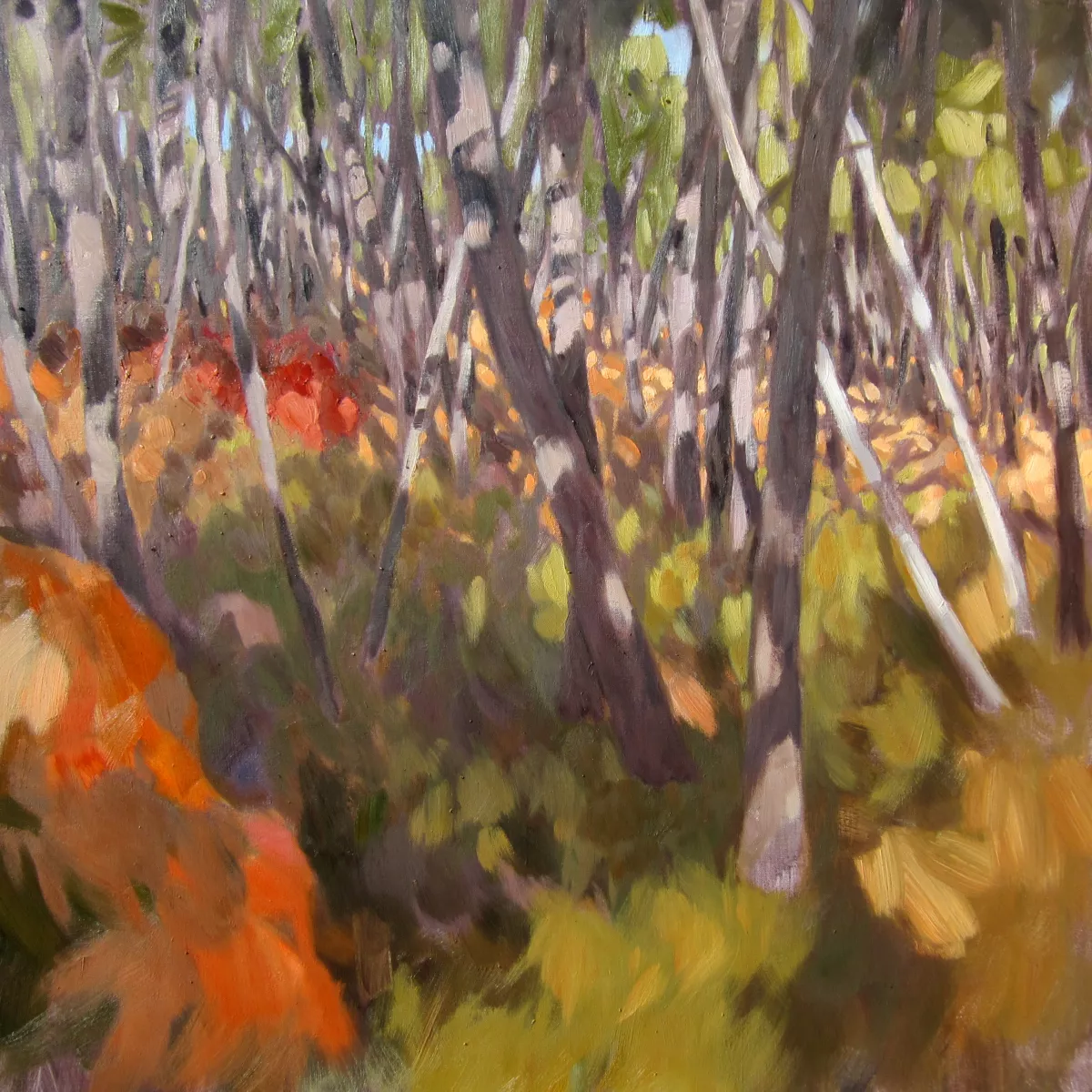 Valery Ansel Müller - 
                #167, 2012, oil on canvas, 100 × 100 cm - private collection