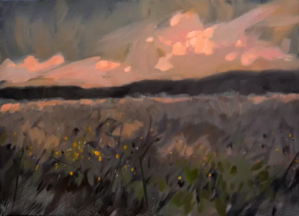 <b><i>
                #251</i></b> 2015 oil on canvas 50 x 70 cm (from the wildflower-series)
