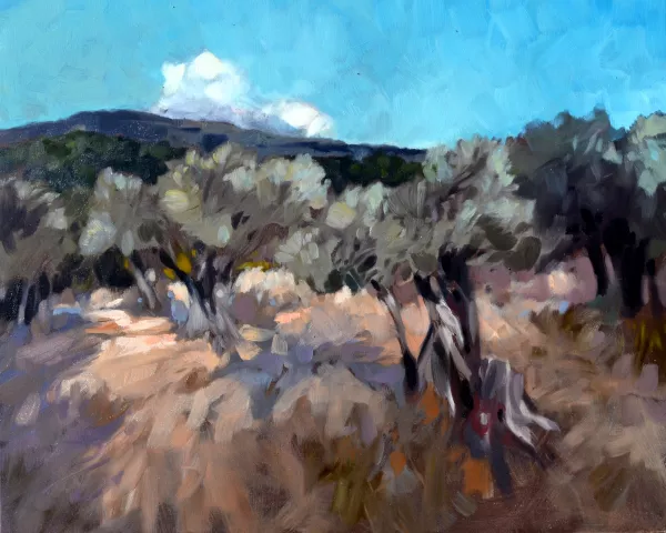<b><i>
                #254</i></b> 2015 oil on canvas 80 x 100 cm