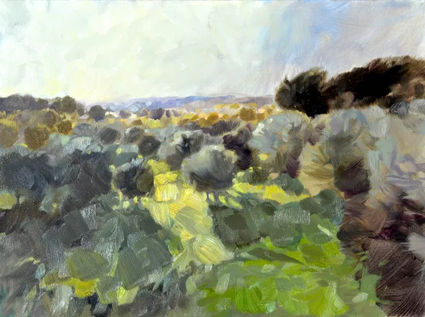 <b><i>
                #271</i></b> 2016&nbsp;oil on canvas&nbsp;60 x 81 cm