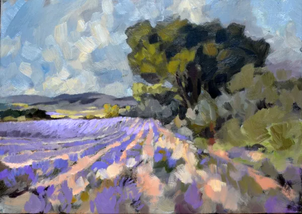 <b><i>
                #275</i></b> 2016&nbsp;oil on canvas&nbsp;50 x 70 cm