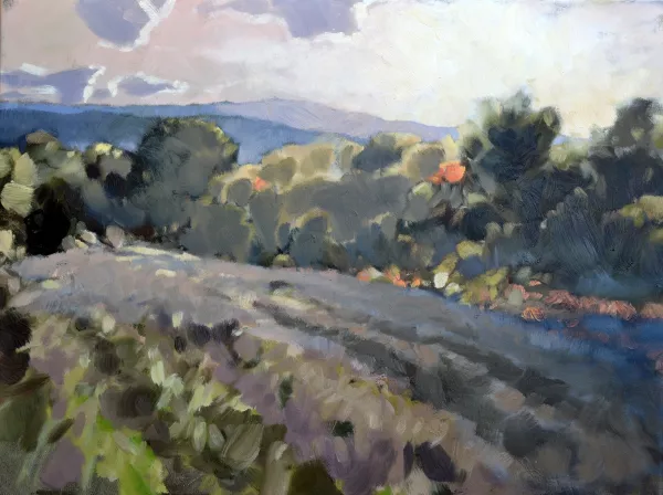 <b><i>
                #289</i></b> 2017&nbsp;oil on canvas&nbsp;60 x 80 cm