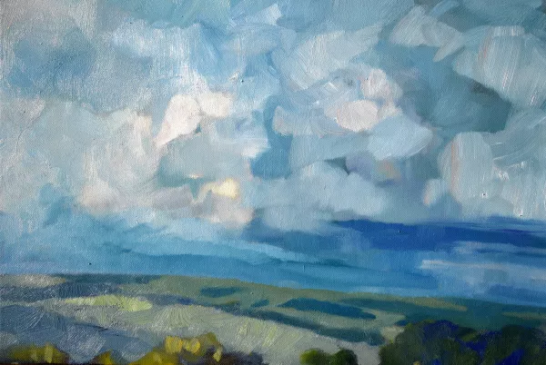 <b><i>
                #338</i></b> 2020 oil on canvas 40 x 60 cm private collection